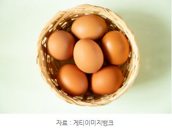 '계란'을 한 바구니에 담으면 깨진다는 속담, 투자세계에서 중요한 명언.